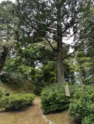 気多神社の{uncategorized: "未分類", other: "その他", undefined: "問題あり", building: "その他建物", grave: "お墓", sacred_gate: "鳥居", guardian: "狛犬", statue: "像", buddha: "仏像", history: "歴史", nature: "自然", garden: "庭園", animal: "動物", pagoda: "塔", temizu: "手水舎", mountain_gate: "山門・神門", sanctuary: "本殿・本堂", subordinate: "末社・摂社", art: "芸術", scenery: "景色", jizo: "地蔵", ema: "絵馬", goshuin: "御朱印", omikuji: "おみくじ", items: "授与品その他", amulet: "お守り", goshuincho: "御朱印帳", eats: "食事", festival: "お祭り", votive_dance: "神楽", shichigosan: "七五三参", wedding: "結婚式", experience: "体験その他", initially: "初詣", around: "周辺", anti_infection: "感染症対策"}