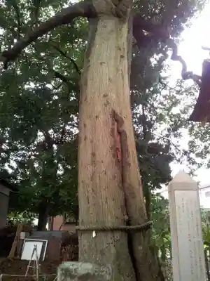栗原神社の自然