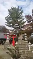八幡神社の狛犬