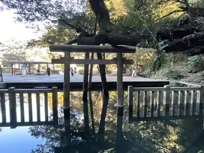 鹿島神宮(茨城県)