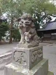 世田谷八幡宮の狛犬