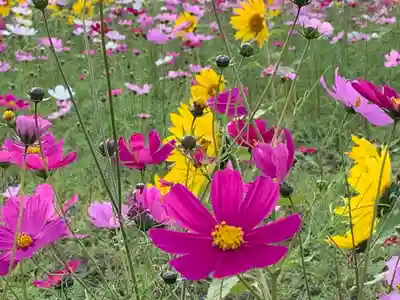 成身院　百体観音堂（さざえ堂）(埼玉県)