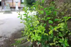 原鹿神社の自然