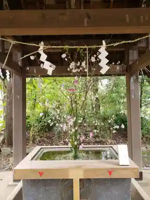 赤坂氷川神社の手水舎