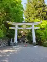 宝登山神社(埼玉県)