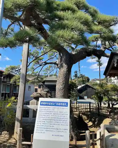 西福寺(開運不動尊)の歴史