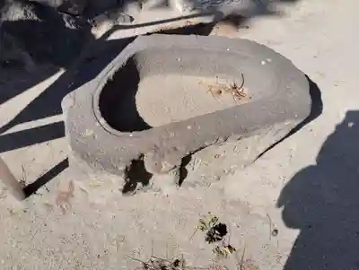 諏訪神社の手水舎