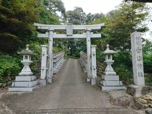 白山神社の鳥居