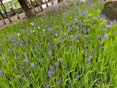 菅原神社(岡山県)