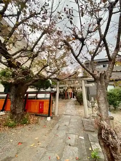 櫻宮神社(桜宮)の鳥居
