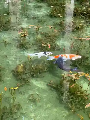 根道神社(岐阜県)