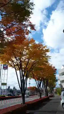 熊野福藏神社の周辺