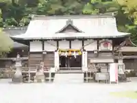 闘鶏神社の本殿・本堂