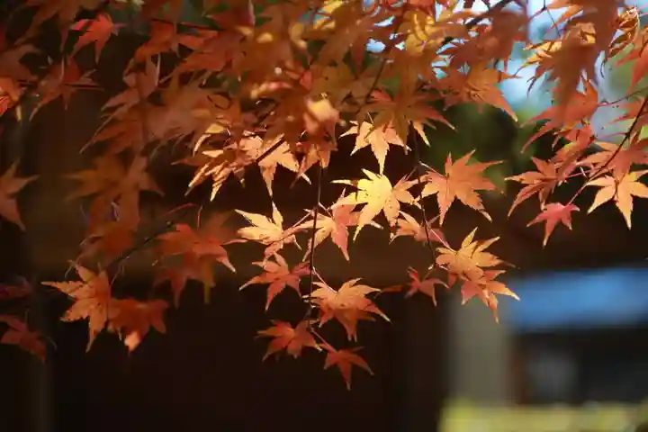 滑川神社 - 仕事と子どもの守り神の自然