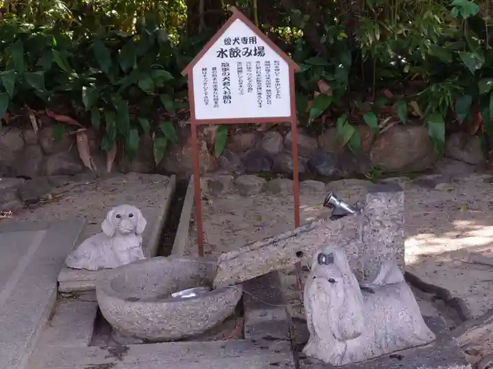 弓弦羽神社(兵庫県)