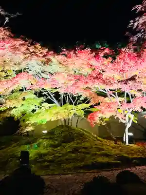 円通院(宮城県)