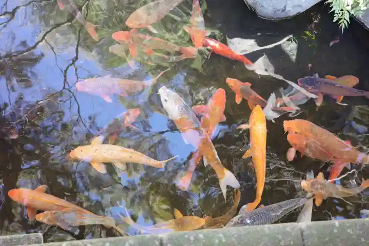 西新井大師総持寺(東京都)
