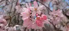 鈴鹿明神社(神奈川県)