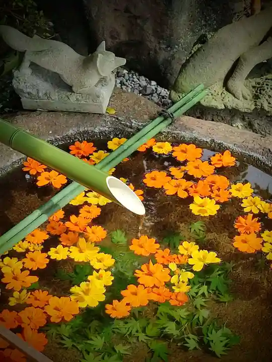 東京羽田 穴守稲荷神社の手水舎