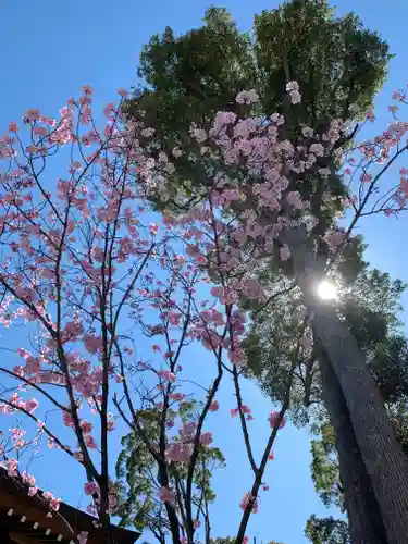 寒川神社の自然