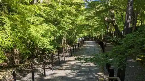 光明寺（粟生光明寺）(京都府)