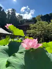 丹生都比売神社(和歌山県)