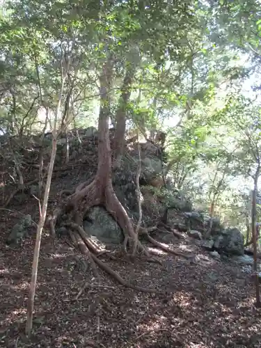 和多都美神社(長崎県)