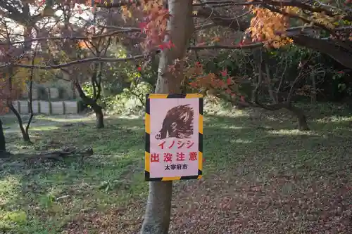 坂本八幡宮の建物その他