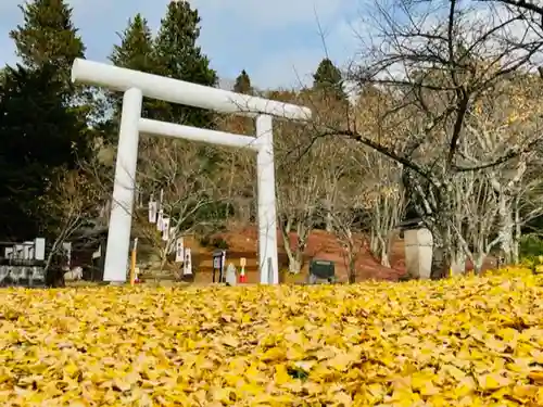 土津神社｜こどもと出世の神さまの鳥居