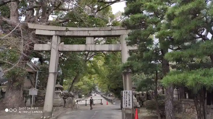 藤森神社の鳥居