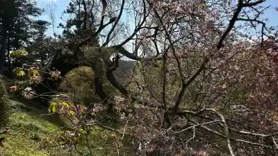 萬松山大雄寺(宮城県)