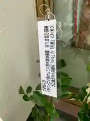 市比賣神社の建物その他