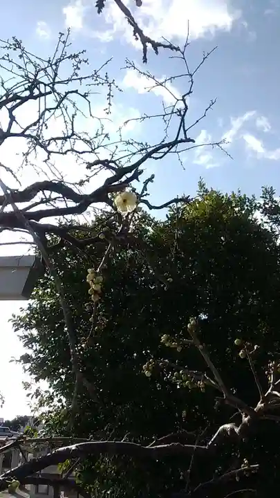 比佐豆知神社(三重県)