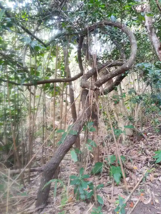 稲荷神社の自然