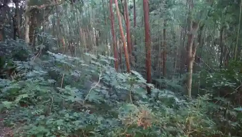 近津神社の周辺