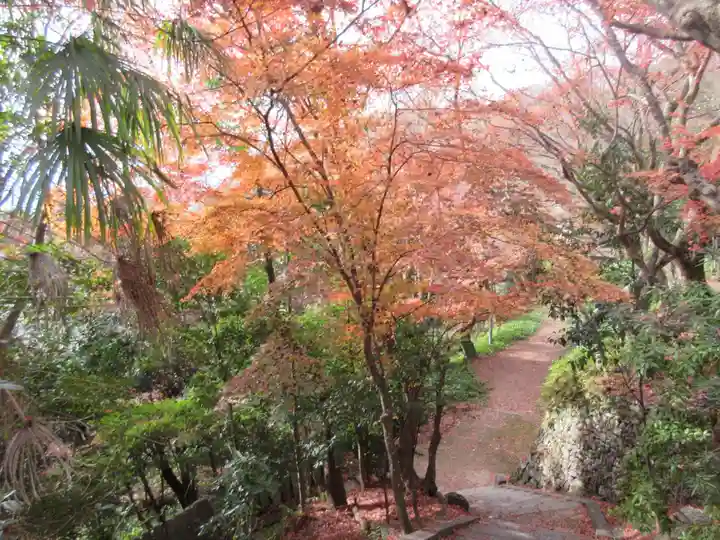 松ヶ崎大黒天 妙圓寺(妙円寺)(京都府)