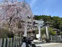 金蛇水神社の{uncategorized: "未分類", other: "その他", undefined: "問題あり", building: "その他建物", grave: "お墓", sacred_gate: "鳥居", guardian: "狛犬", statue: "像", buddha: "仏像", history: "歴史", nature: "自然", garden: "庭園", animal: "動物", pagoda: "塔", temizu: "手水舎", mountain_gate: "山門・神門", sanctuary: "本殿・本堂", subordinate: "末社・摂社", art: "芸術", scenery: "景色", jizo: "地蔵", ema: "絵馬", goshuin: "御朱印", omikuji: "おみくじ", items: "授与品その他", amulet: "お守り", goshuincho: "御朱印帳", eats: "食事", festival: "お祭り", votive_dance: "神楽", shichigosan: "七五三参", wedding: "結婚式", experience: "体験その他", initially: "初詣", around: "周辺", anti_infection: "感染症対策"}