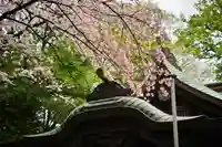 座間神社(神奈川県)