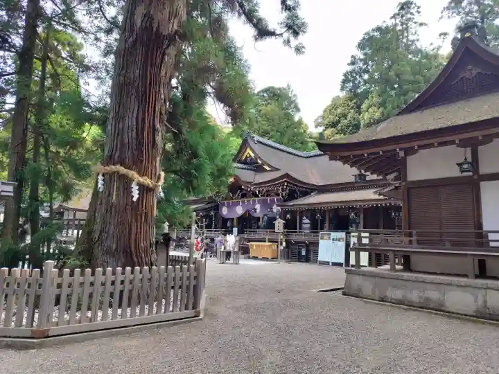 大神神社の{uncategorized: "未分類", other: "その他", undefined: "問題あり", building: "その他建物", grave: "お墓", sacred_gate: "鳥居", guardian: "狛犬", statue: "像", buddha: "仏像", history: "歴史", nature: "自然", garden: "庭園", animal: "動物", pagoda: "塔", temizu: "手水舎", mountain_gate: "山門・神門", sanctuary: "本殿・本堂", subordinate: "末社・摂社", art: "芸術", scenery: "景色", jizo: "地蔵", ema: "絵馬", goshuin: "御朱印", omikuji: "おみくじ", items: "授与品その他", amulet: "お守り", goshuincho: "御朱印帳", eats: "食事", festival: "お祭り", votive_dance: "神楽", shichigosan: "七五三参", wedding: "結婚式", experience: "体験その他", initially: "初詣", around: "周辺", anti_infection: "感染症対策"}