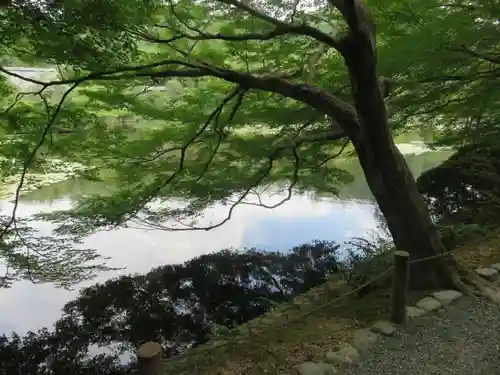 龍安寺の庭園