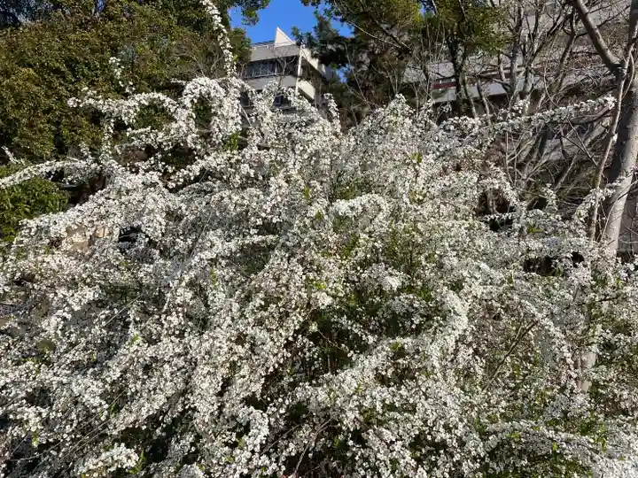 伊勢の国 四天王寺(三重県)