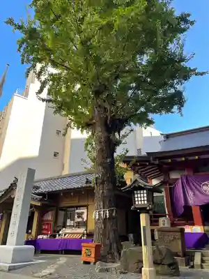 日本橋日枝神社(東京都)
