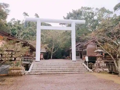 安房神社の鳥居