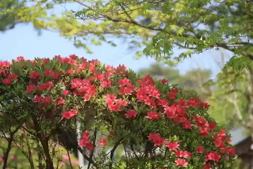 開成山大神宮の庭園