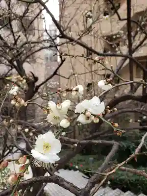 銀世界稲荷神社(東京都)