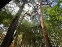 正一位稲荷大明神(東京都)