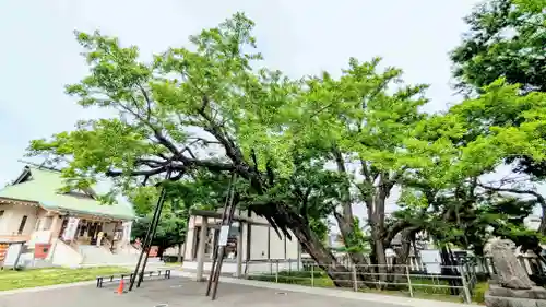 豊受神社の自然