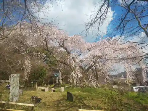 岩屋寺の庭園