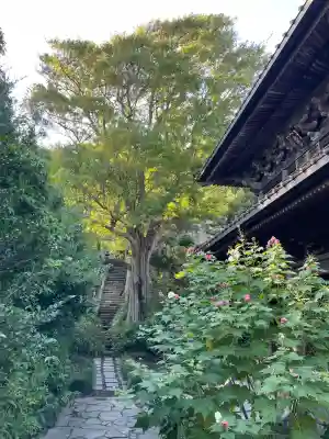 英勝寺(神奈川県)