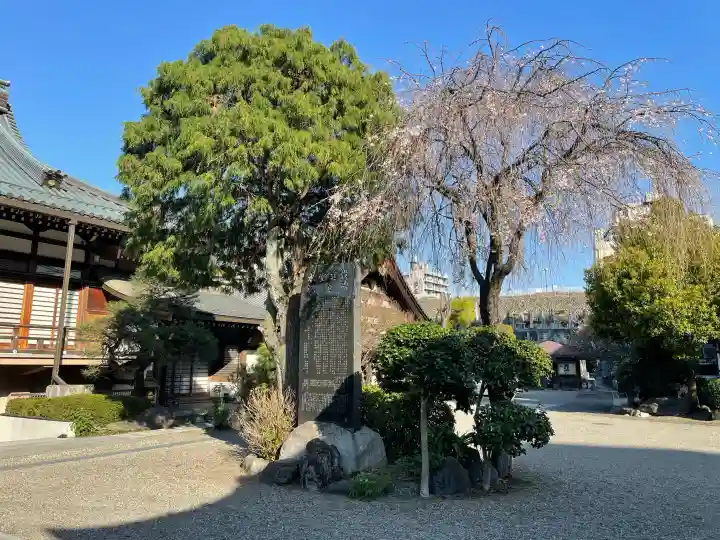 徳林寺の{uncategorized: "未分類", other: "その他", undefined: "問題あり", building: "その他建物", grave: "お墓", sacred_gate: "鳥居", guardian: "狛犬", statue: "像", buddha: "仏像", history: "歴史", nature: "自然", garden: "庭園", animal: "動物", pagoda: "塔", temizu: "手水舎", mountain_gate: "山門・神門", sanctuary: "本殿・本堂", subordinate: "末社・摂社", art: "芸術", scenery: "景色", jizo: "地蔵", ema: "絵馬", goshuin: "御朱印", omikuji: "おみくじ", items: "授与品その他", amulet: "お守り", goshuincho: "御朱印帳", eats: "食事", festival: "お祭り", votive_dance: "神楽", shichigosan: "七五三参", wedding: "結婚式", experience: "体験その他", initially: "初詣", around: "周辺", anti_infection: "感染症対策"}